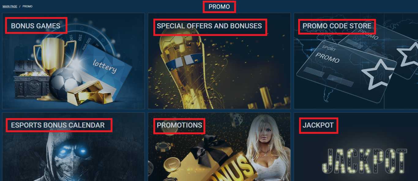 Features of the data verification process at 1xBet